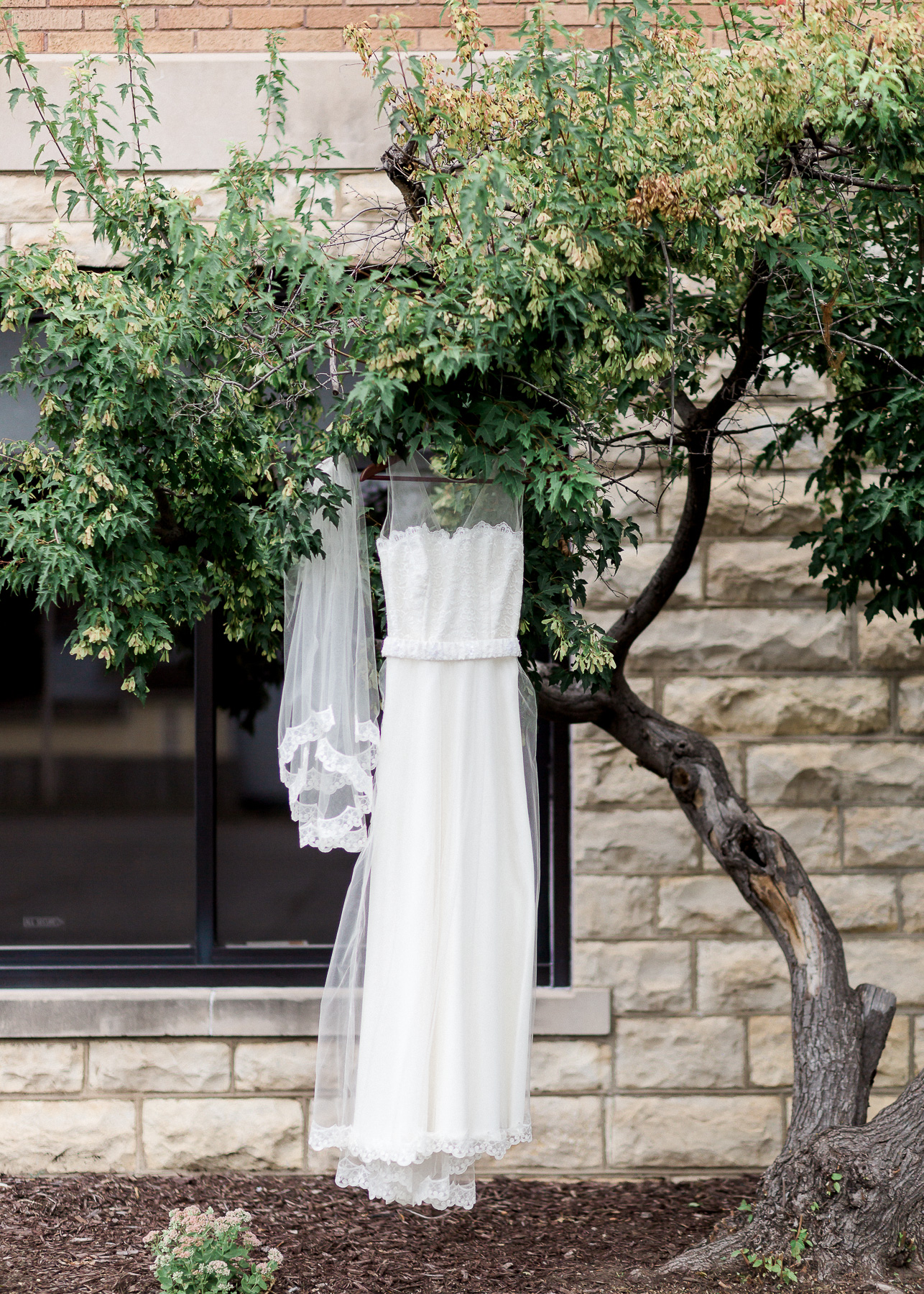 wedding dress under tree