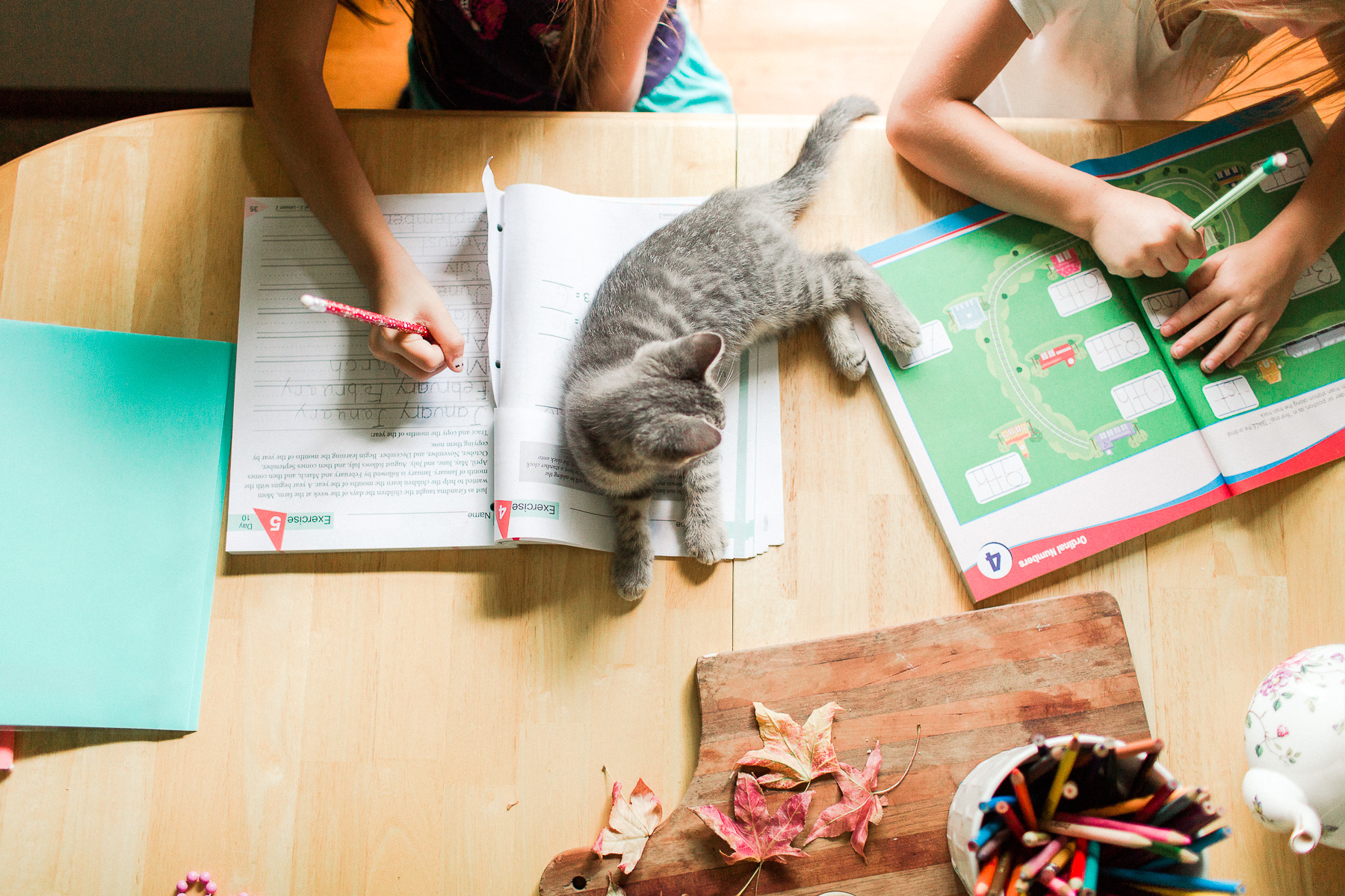 homeschooling girls doing workbooks